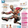 Cintas para Kinesio Tape