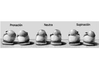 plantillas en plastazote micro-perforadas ortopedia maipu vicente lopez